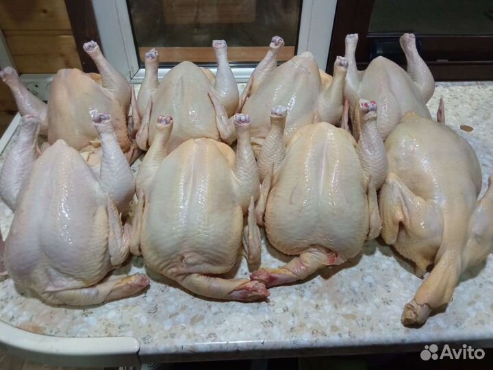 Куры тушки бройлеры