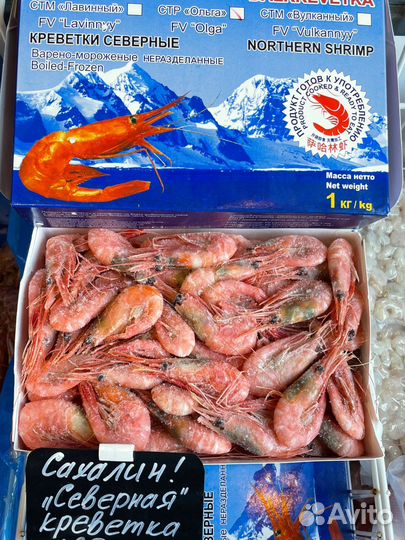 Креветка северная