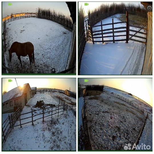 Видеонаблюдение на животноводческую точку