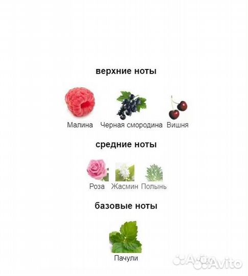 Emporio Armani In Love With You