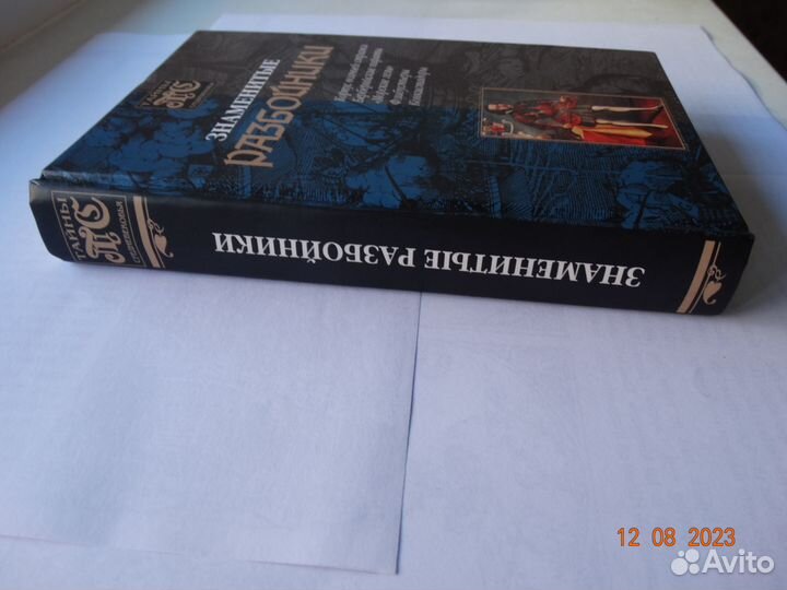 Морозов Д.Знаменитые разбойники