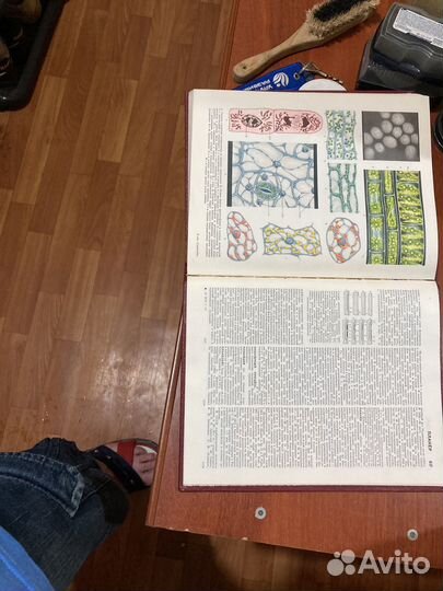 Большая советская энциклопедия 3 издание