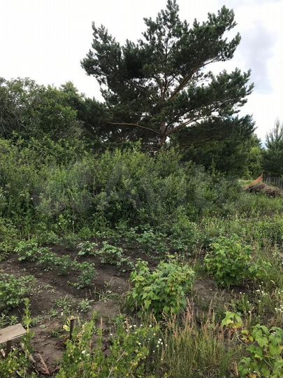 Участок 6 сот. (СНТ, ДНП)