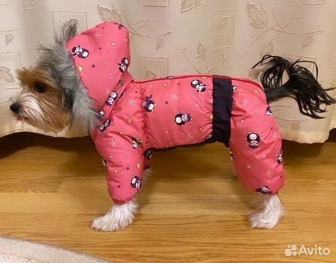 Новый комбинезон зимний для собак мелких пород