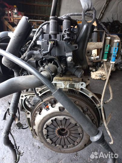 Двигатель shdc Ford Focus 2 restailing 0.0 0