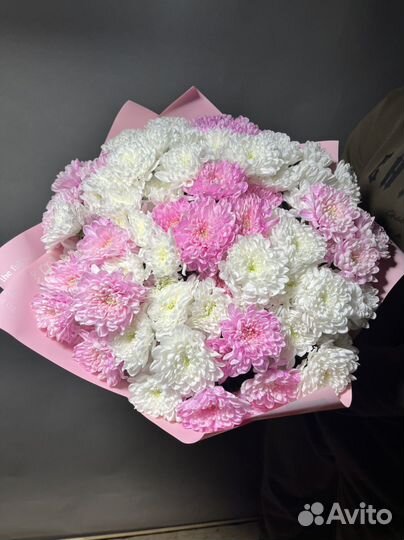 Хризантемы