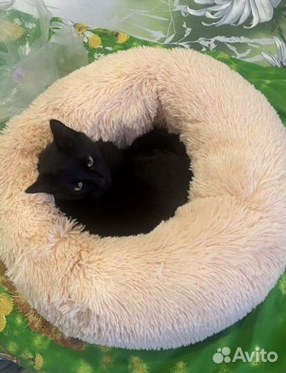 Лежанка домик подстилка для кошек и собак новая