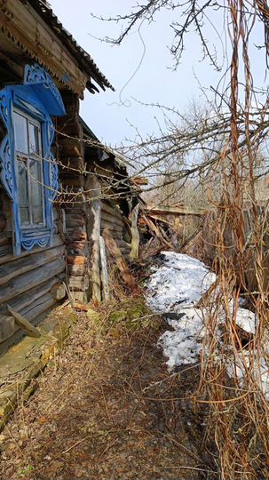 Дом 40,9 м² на участке 40 сот.