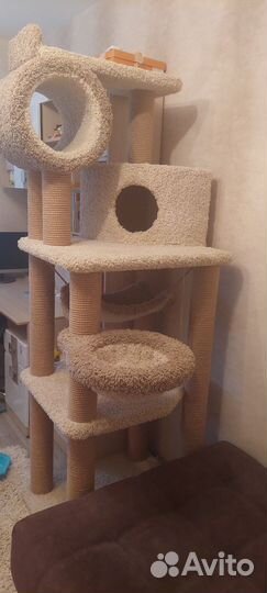 Игровой комплекс для кошки.мало б у. Высота 2 м