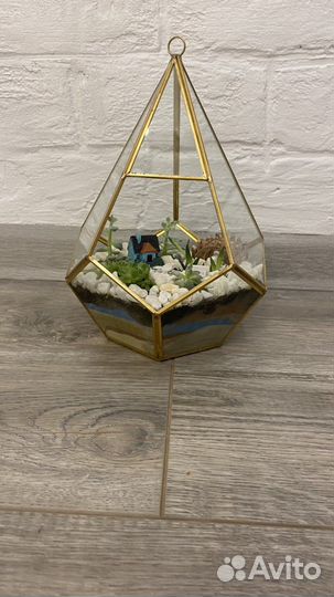 Флорариум, цветы, цветы для флорариума, подарок