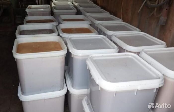 Мед натуральный алтайский опт. минимально 16 кг