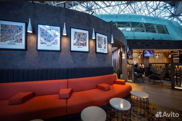 Проход в бизнес залы Внуково