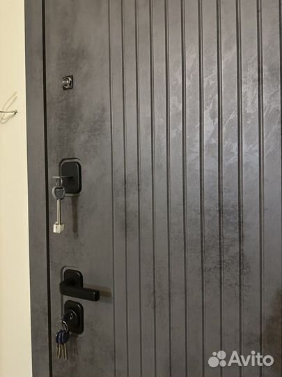 Входная дверь Бульдорс серии trust