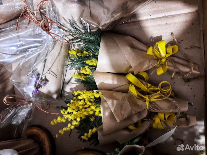 Кашпо для мимозы