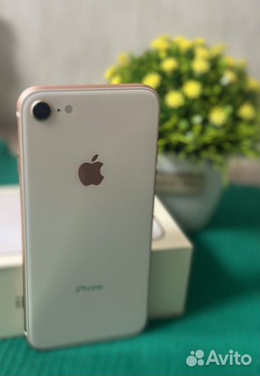 iPhone 8 256gb/оригинал