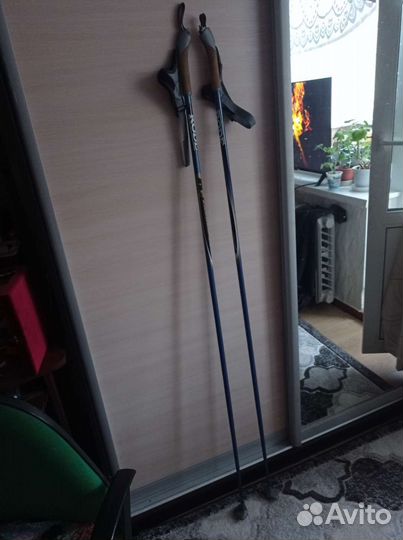 Лыжные палки