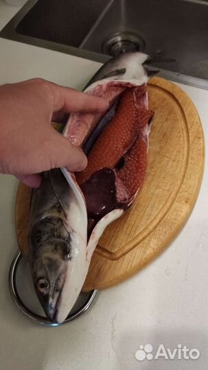 Свежемороженая Горбуша