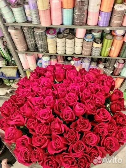 Розы гиганты 140 150 160 170 180 200