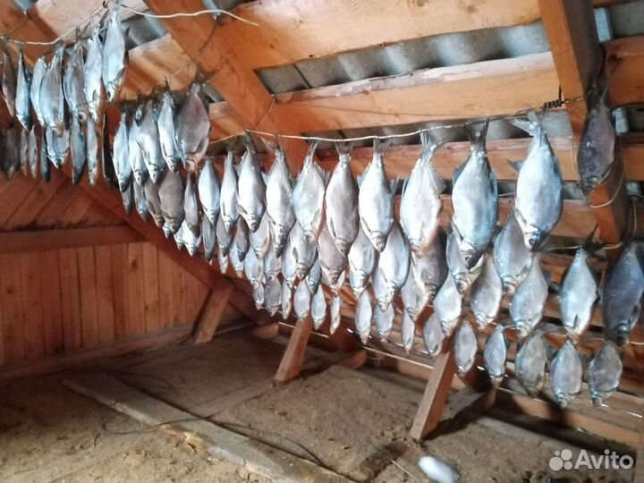 Вяленая рыба