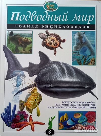 Детские книги новые