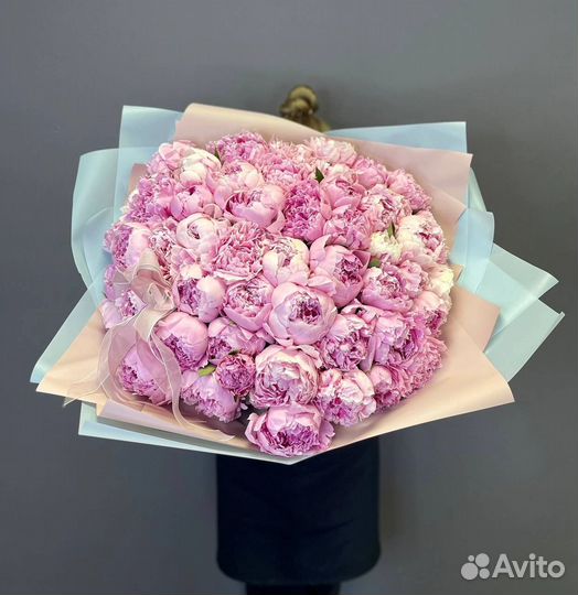 Пионы букеты пионов 7 11 15 19 21