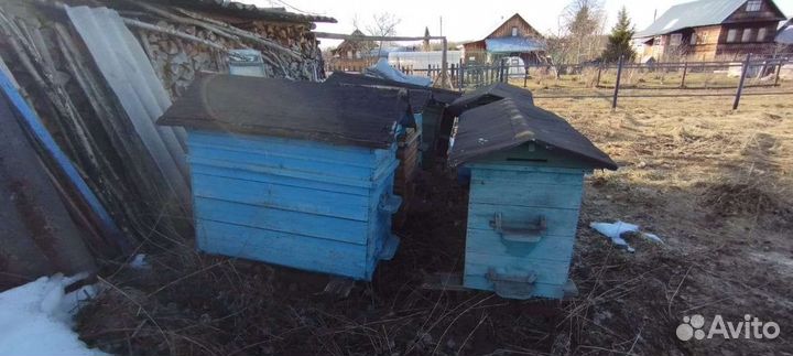 Улей для пчел бу