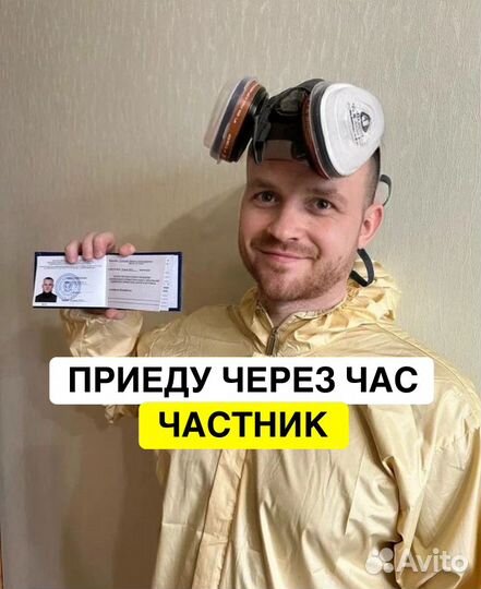 Дезинфекция