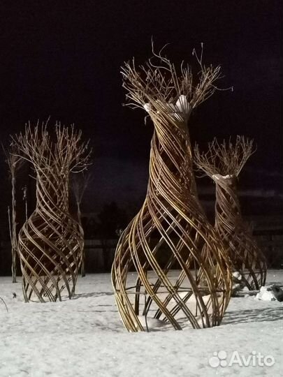 Бутылочное дерево из ивы