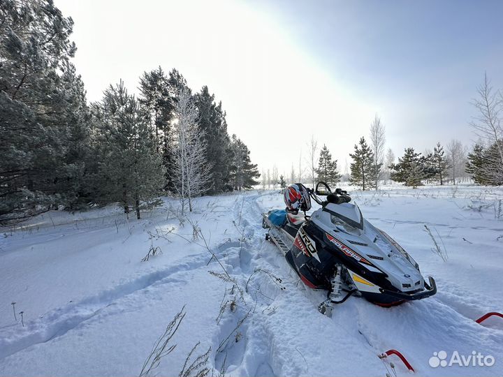 Polaris PRO RMK 800