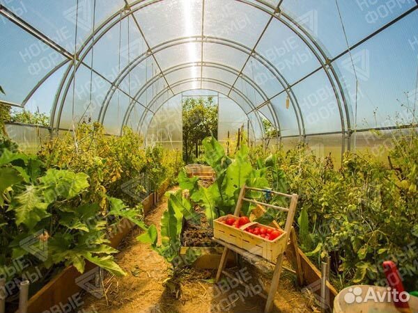 Сотовый поликарбонат для теплиц