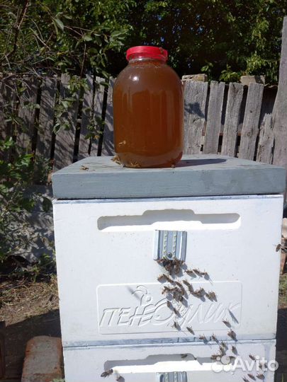 Мёд натуральный