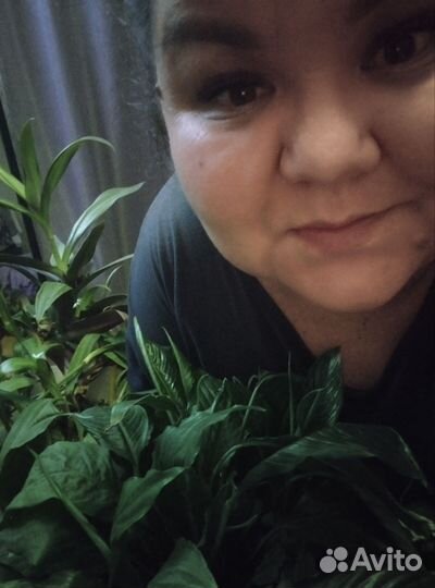 Работа оператор пк