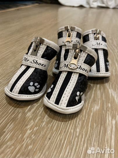Обувь для собак мелких пород