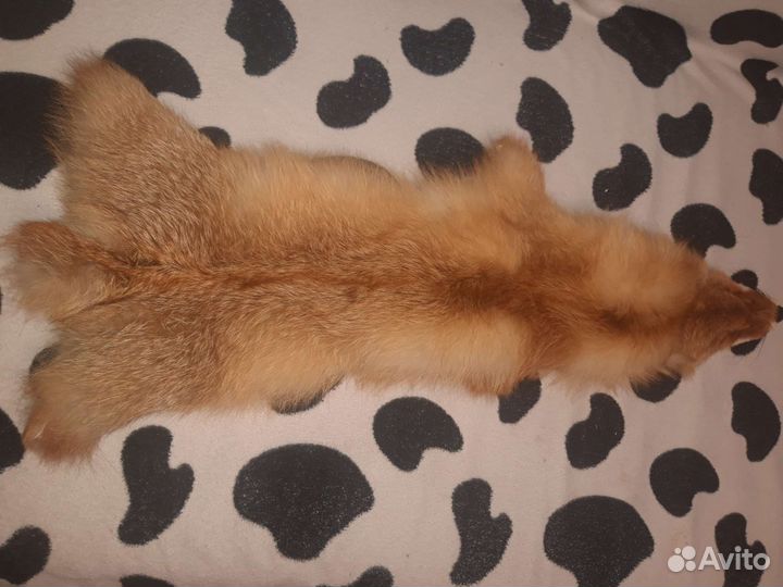 Шкуры лисы