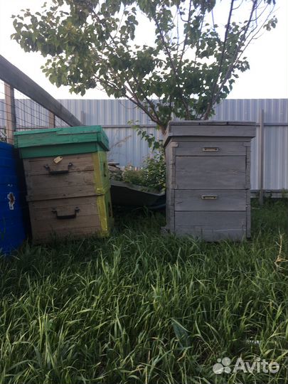 Ульи для пчел бу