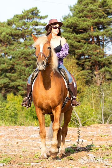 Конная прогулка