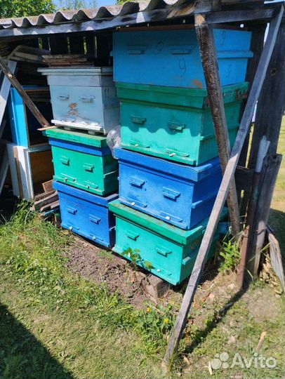 Ульи для пчел