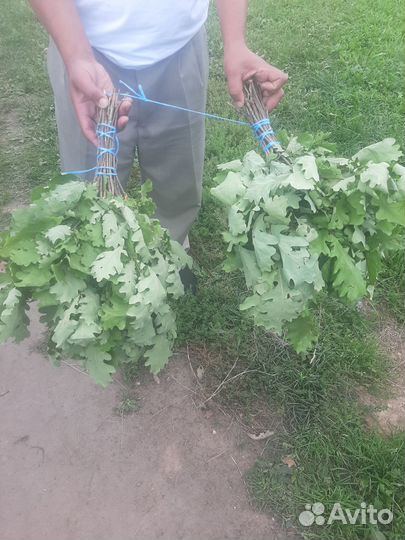 Продам веники