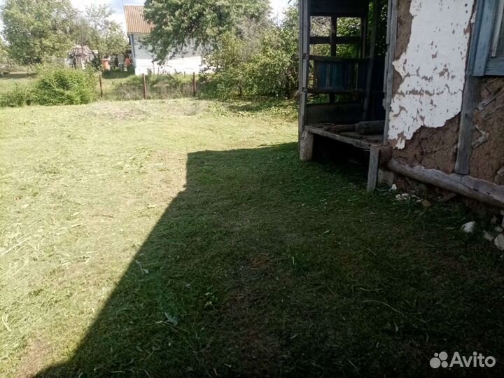 Спил деревьев, в спашка и культивирование земли по