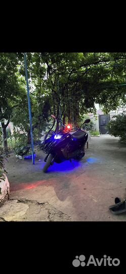 Скутер (shark) 139 qmb