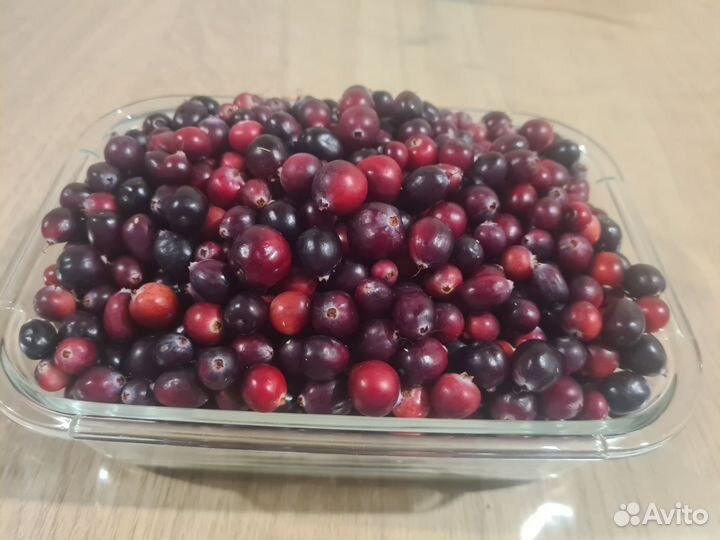 Клюква свежая