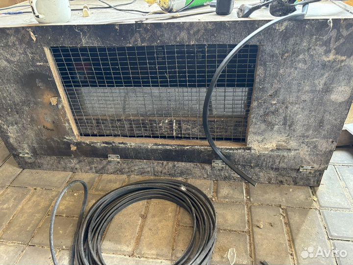 Перепелки несушки