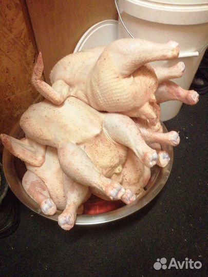 Тушка бройлера