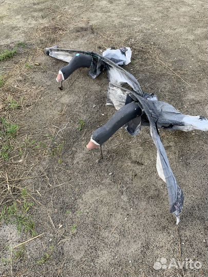 Чучела гусей