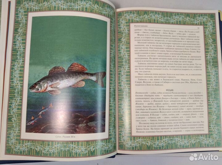 Русская рыбалка