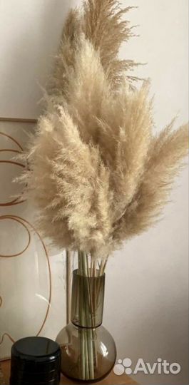 Картадерия