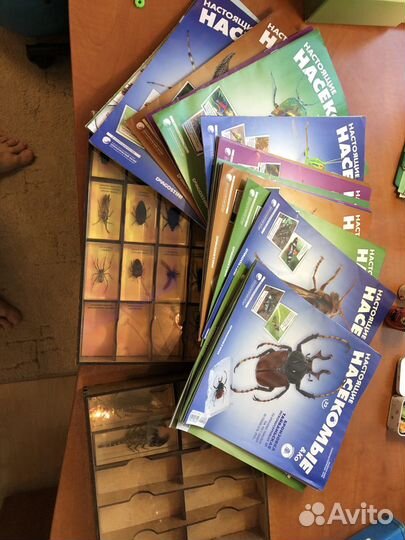 Познавательная коллекция «Жуки»