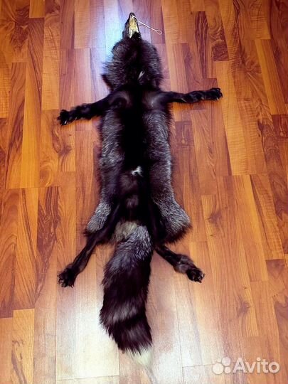 Цельная шкурка чернобурки