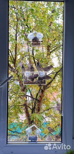 Кормушки для птиц