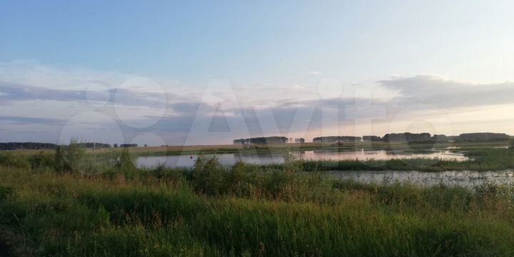 Участок 1,66 га (СНТ, ДНП)